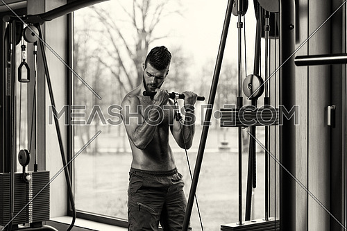 Young Handsome Man Exercise Biceps On Cable Machine