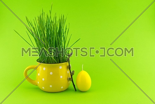 Easter Decoration with wheat seedlings growing from yellow cup and egg shaped candle over a green background with free copy space for text