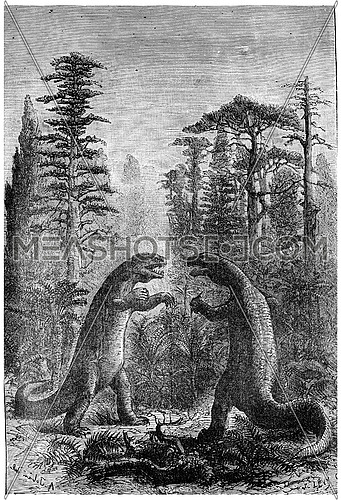 Iguanodon and Megalosaurus in a forest of ferns, cycads and conifers, vintage engraved illustration. Earth before man â 1886.