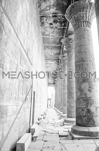 Papyrus columns of Edfu temple and hieroglyphic writings on the columns and the walls in  Edfu, Egypt.