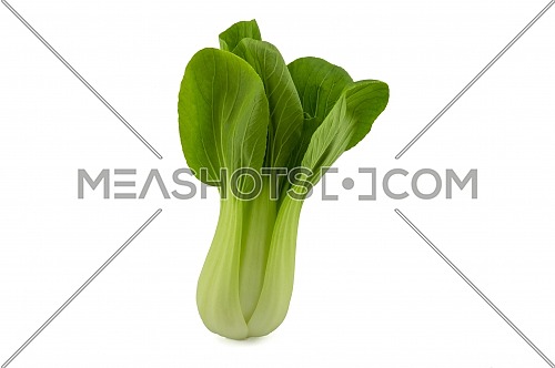 Fresh pak choi cabbage or chinese cabbage isolated on white background