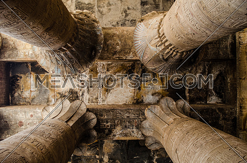Papyrus columns of Edfu temple in Edfu, Egypt.