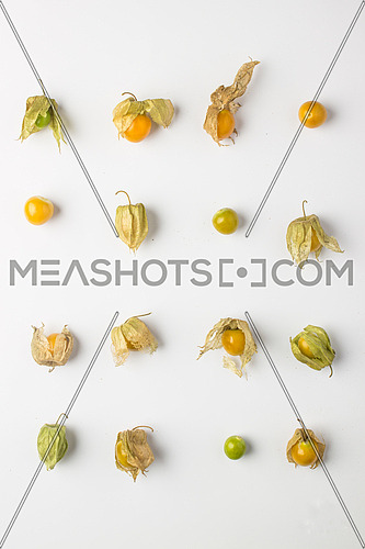 Physalis, herbaceous put on an off white table top