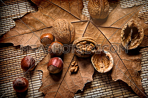 Walnuts and hazelnuts on a dry leaf