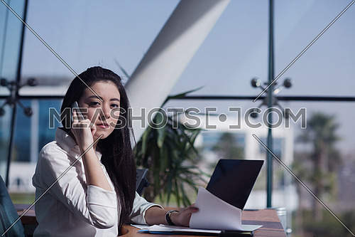 Young female executive having a business call in the office