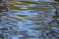 Colorful yellow and blue ripples and waves running on water surface, moving flow background, Full HD 1080, close up