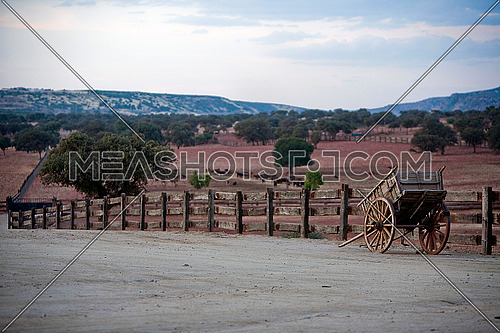 Carriage of wood, Rural landscape near Linares, Spain