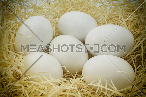 Close-up white chicken eggs on a bed of straw