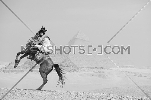black and white image of  young Egyptian man horse rearing in desert giza platue with the pyramids in background