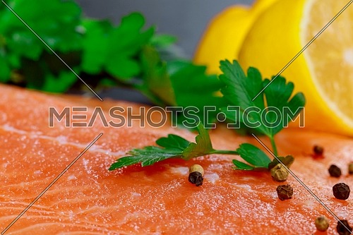 Salmon and lemon raw piece of with ingredients on marble on table