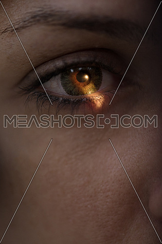 close up on human eye showing light on cornea