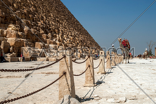 The Pyramids of Giza and a camel - The greatness of the Egyptian civilization 
أهرامات الجيزة عظمة الحضارة المصرية