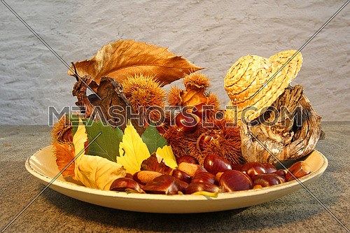 Colorful plate of healthy chestnust decorated with colorful fall leaves and bark