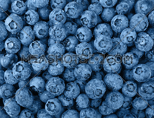 Close up background pattern of blue toned fresh washed wet blueberry berries with water drops, elevated top view, directly above