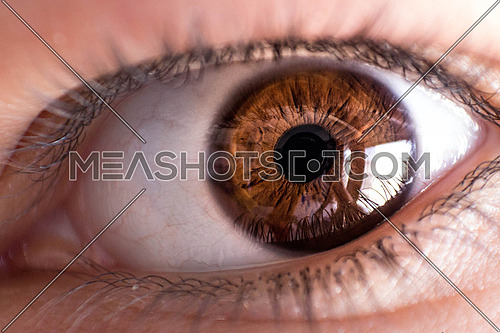 A close up of a brown eye