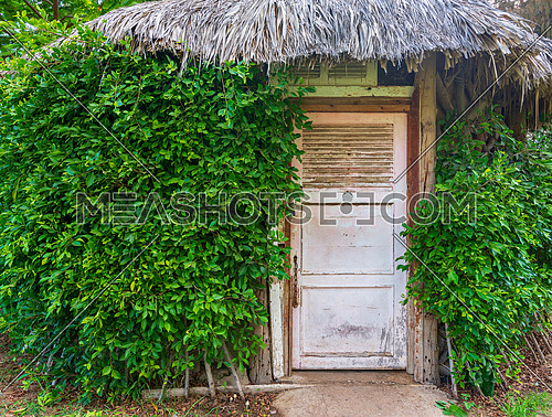 Wooden hut with closed wooden white grunge door surrounded by dense green plants at Montaza public park, Alexandria, Egypt