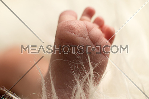 newborn bare foot surrounded by white fur