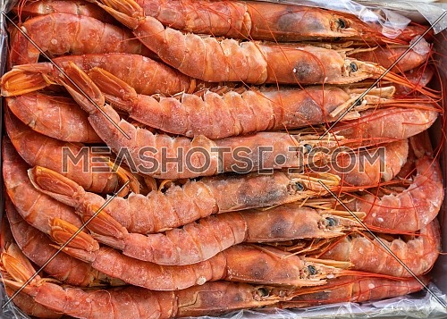 Frozen argentine red shrimp on head at the seafood market