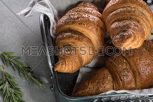 Freshly Baked croissant in a tray