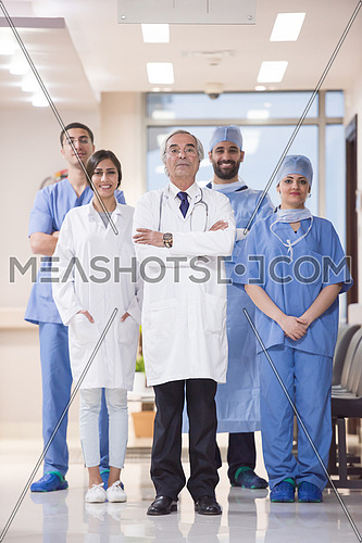 portrait of middle eastern team of doctors in a large modern clinic