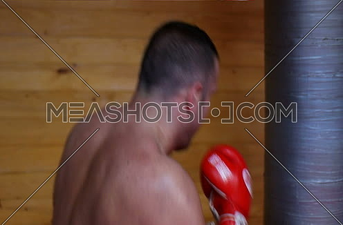 strong boxer training for fight
