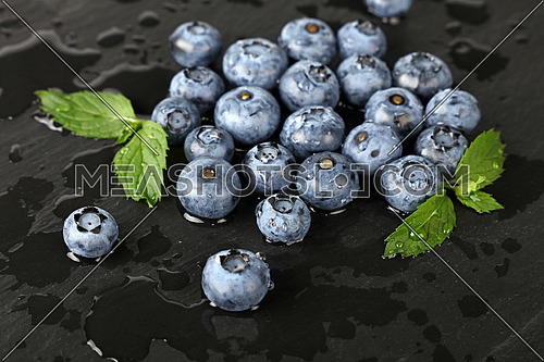Close up fresh washed blueberry berries with water drops and green mint leaves on black slate board, high angle view