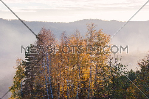 Magic golden early morning nautre scene at autumn fall season rural area