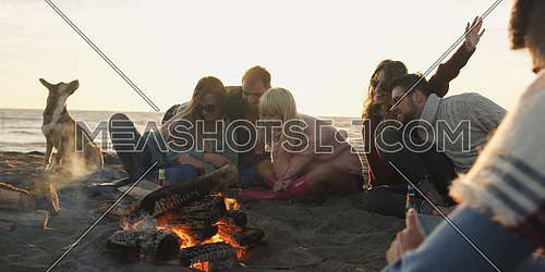 Group of friends with dog relaxing around bonfire on the beach at sunset