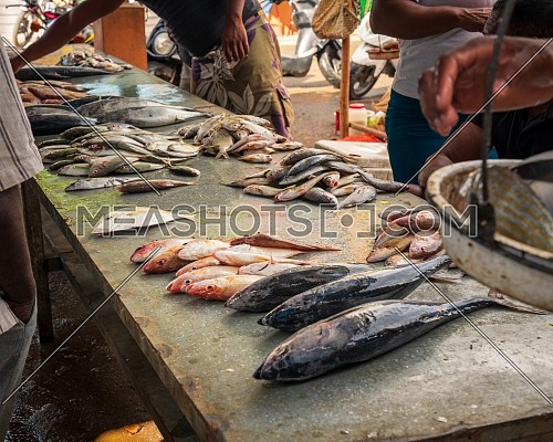 retail sale of fish on the dirty counter at the fish market, around people who watch and choose fish.