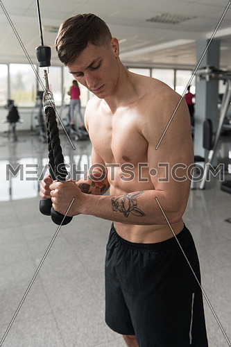 Man In The Gym Exercising On His Triceps On Machine With Cable In The Gym