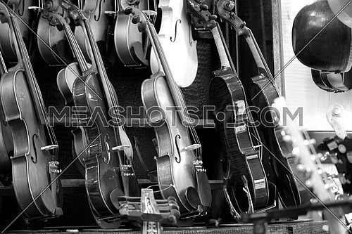 Market of musical instruments and violins are presented together in black and white