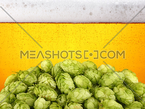 Close up heap of fresh green hops over background of lager beer with bubbles and froth in glass, low angle side view
