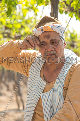 an egyptiam farmer tired wiping sweat in the farm