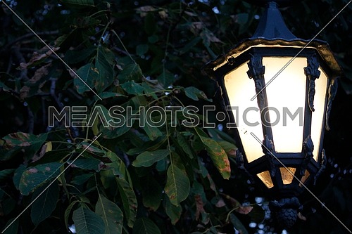 A lightened Lantern in the garden