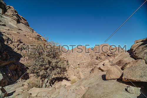 Long shot for Sinai Moutain at day