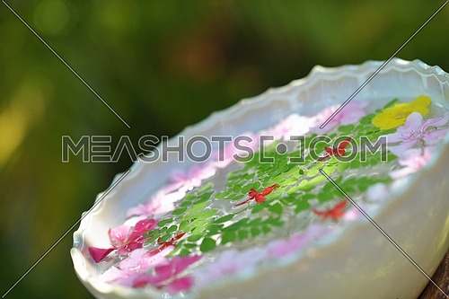 water cup with beautiful flowers, a variety of background colors in spa health and beauty center