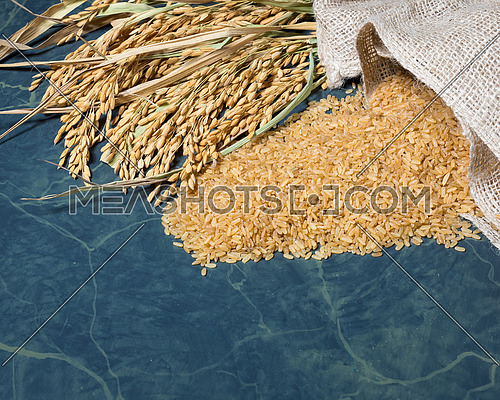 Brown rice uncooked in a bag with a pile of brown rice and spike rice on table background.