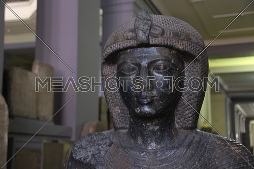 a photo from inside the Egyptian museum showing a face and statue of an ancient Egyptian pharaoh