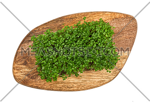 Close up fresh green arugula microgreens sprouts on brown wooden cutting board isolated on white background, elevated top view, directly above