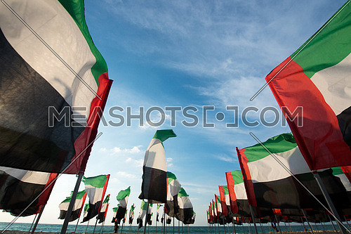 hundreds of uae flags on at the sea shore