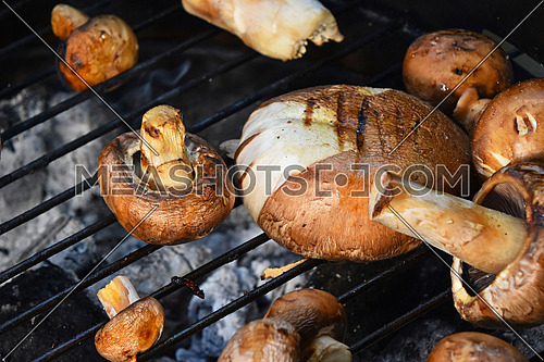 Brown champignons portobello mushrooms being cooked on char grill with grillmarks