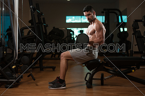 Young Muscular Man Doing Heavy Weight Exercise For Biceps With Dumbbells In Gym