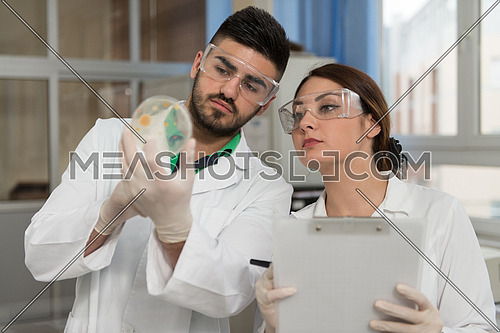 Group Of Scientists Conducting Research In A Lab Environment