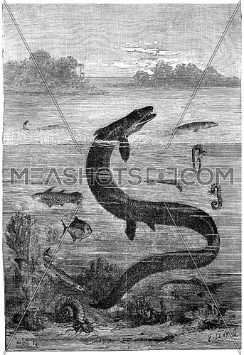 Paris region during the Cretaceous sea, End of the reign of the great mosasaur, vintage engraved illustration. Earth before man â 1886.