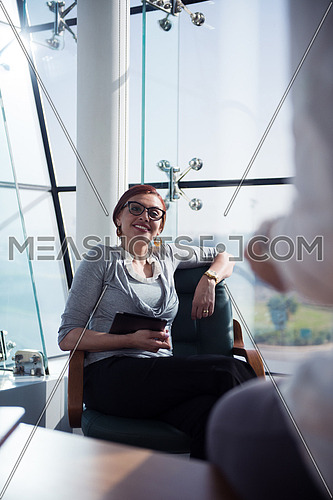 young female executive having a meeting in a bright modern office