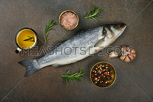 Close up one fresh raw European sea bass fish on table, with salt, peppercorns, rosemary, garlic and olive oil, elevated top view, directly above