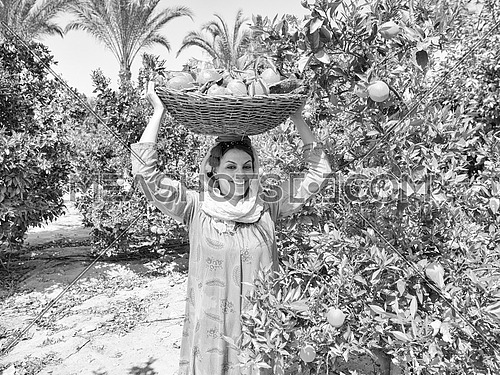 Young beautiful middle eastern woman enjoys the farm orange with a smile on her face and orange in hands