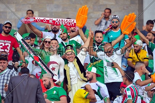 27 June 2019, Egypt, Cairo: Algerian fans cheer in the stands during the 2019 Africa Cup of Nations Group C soccer match between Senegal and Algeria at the 30 June Stadium.