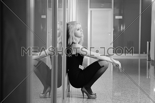 blond business woman portarait indoor