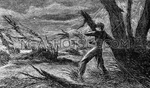 A terrible storm. I cling to the branch of a tree, vintage engraved illustration. Journal des Voyages, Travel Journal, (1880-81).